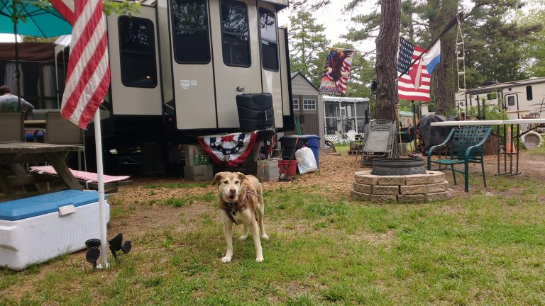 Memorial Day Weekend
