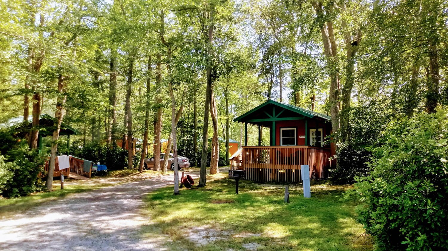 cabin special aug 2018