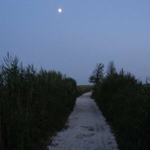 Evening Stroll Under a Full Moon – Sea Pirate Campground