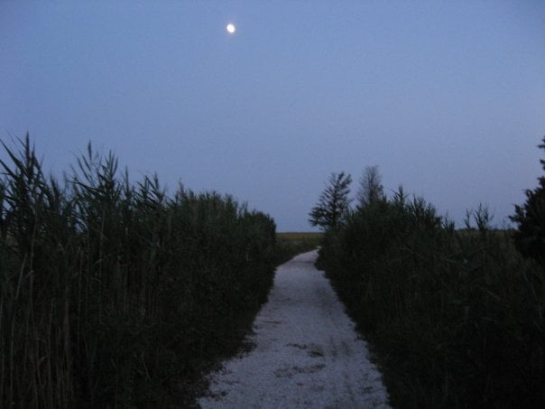 Read more about the article Evening Stroll Under a Full Moon – Sea Pirate Campground