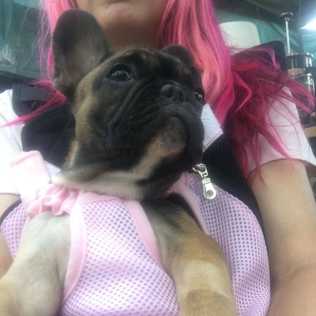 1615165356 807 We are a pet friendly NJ campground Thank you for