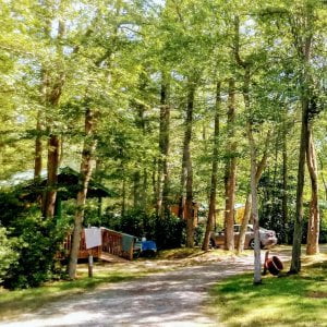 August Special for tent sites and one room basic cabins only.
August 1st- August…