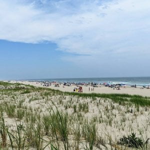 Are you looking to explore  Well, there is a scavenger hunt called the LBI Vibe …