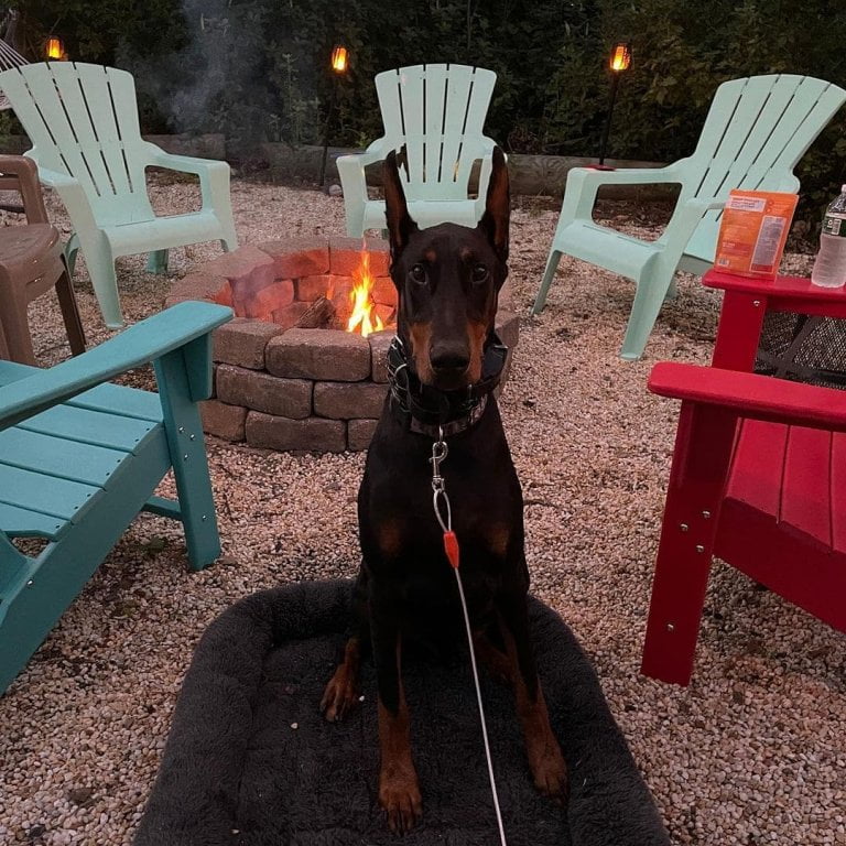 Sharing a campfire with your best friend and family is the best quality time, fo...