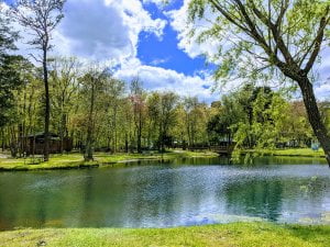 How to Get Started in Birding while Camping