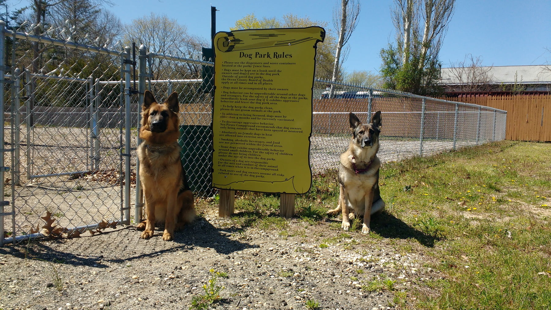 Sea Pirate Campground Dog Park Rules