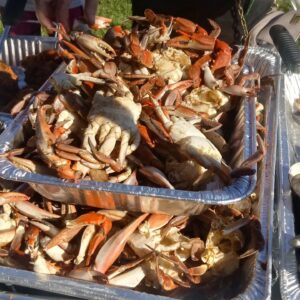 Crabfest Weekend 2022 at Sea Pirate Campground is here! 

Come enjoy live music,…