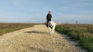 Don’t leave your furry friend behind on your next camping trip – bring them to S...