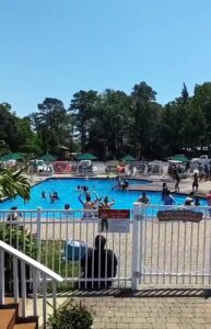 Pool party...