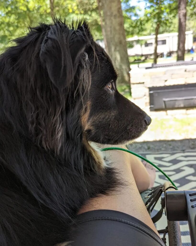 Sir Winston soaking in the view with his hooman. At Sea Pirate Campground we are...