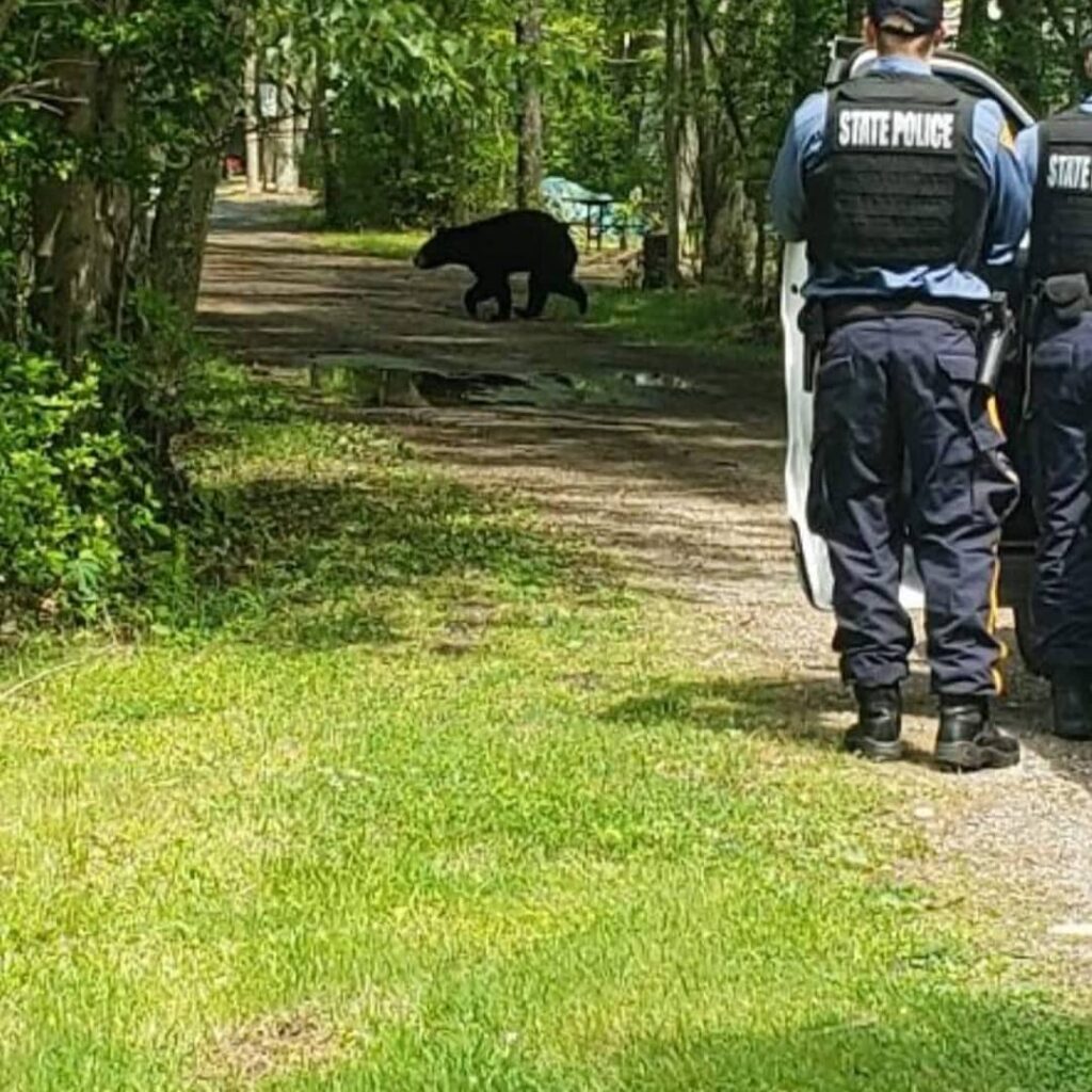 Our friend us just passing through